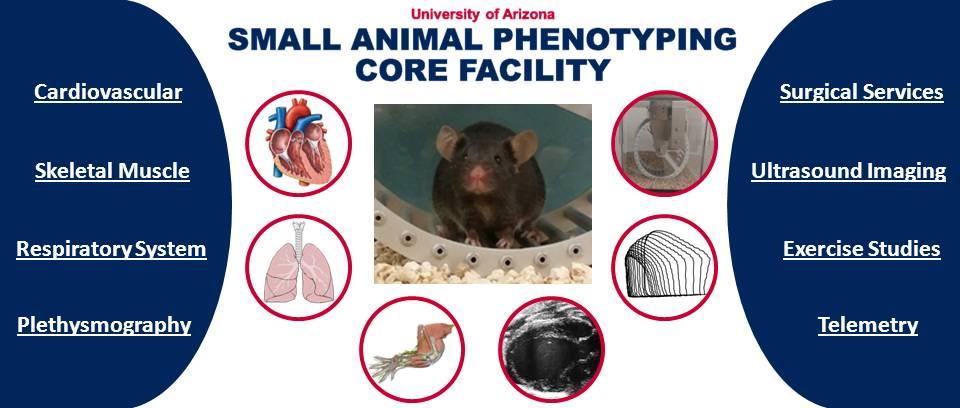 About Mouse Phenotyping Core | Phenotyping Core