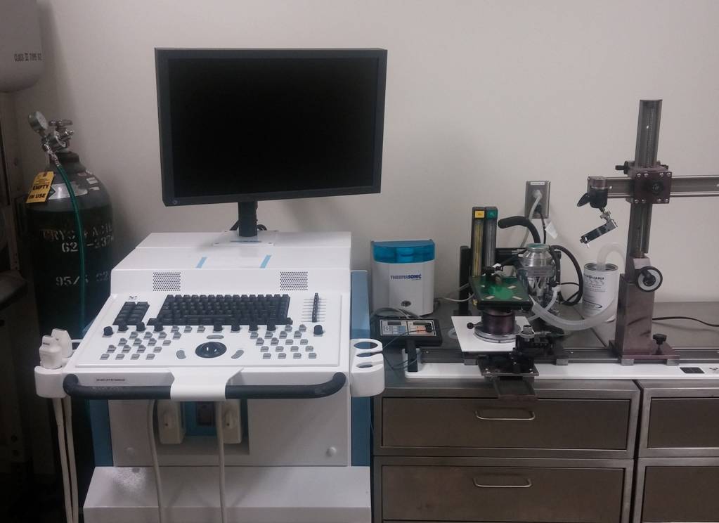 heart doppler test Core  Echocardiography Phenotyping